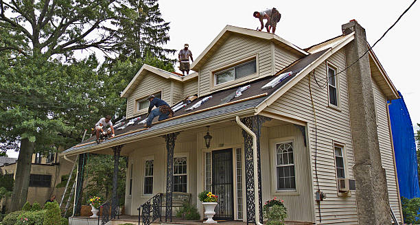 Best Flat Roof Repair Services  in Forsyth, IL