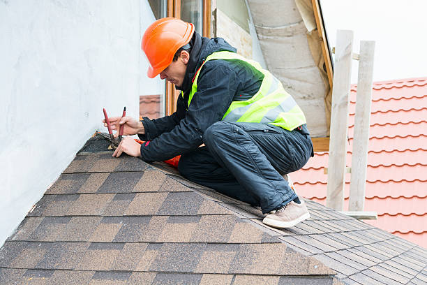 Roof Gutter Cleaning in Forsyth, IL